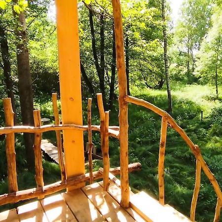 Ferienwohnung Treehouse Lea Mikulášovice Exterior foto