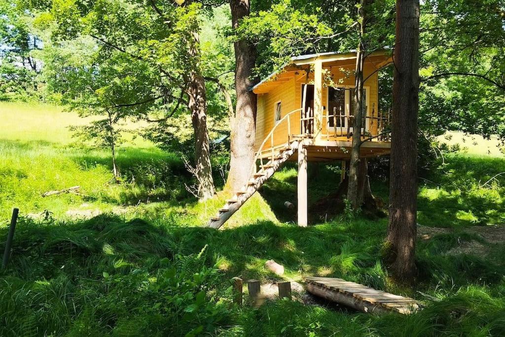 Ferienwohnung Treehouse Lea Mikulášovice Exterior foto