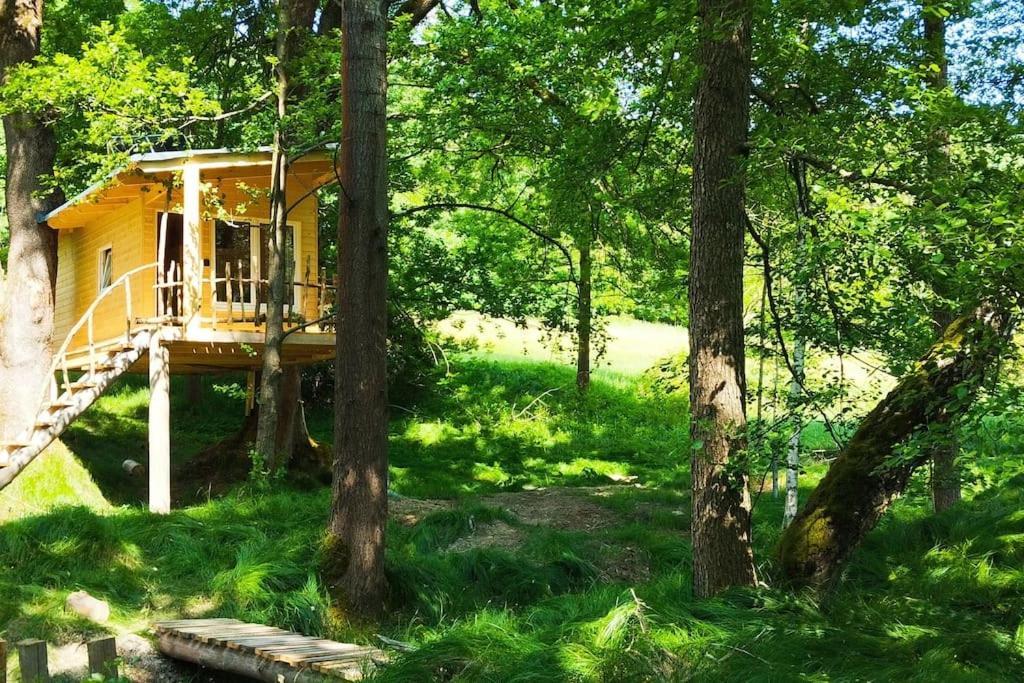 Ferienwohnung Treehouse Lea Mikulášovice Exterior foto